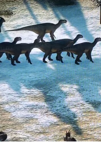 Kron And Aladar's Herd