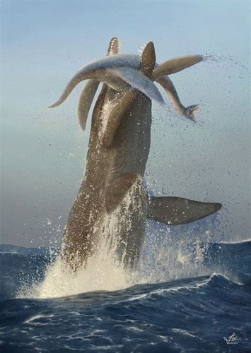 Kronosaurus