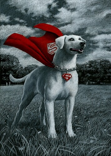 KRYPTO