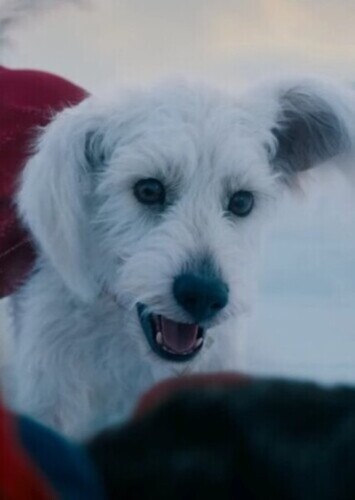 Krypto
