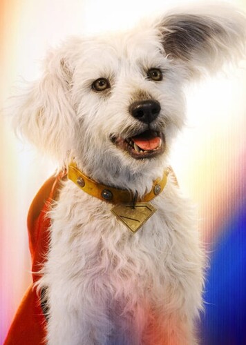 Krypto