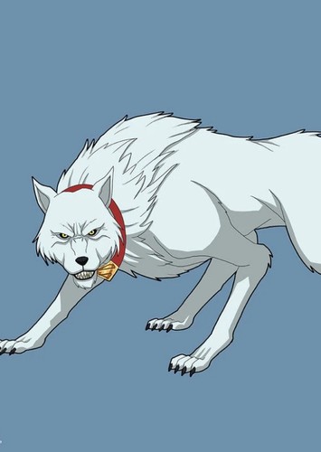 Krypto