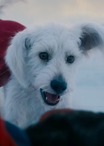 Krypto