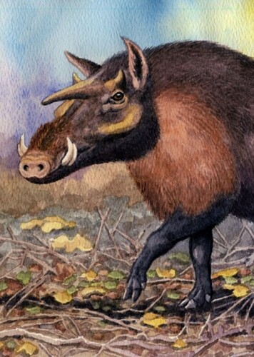 Kubanochoerus