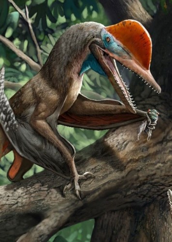 Kunpengopterus