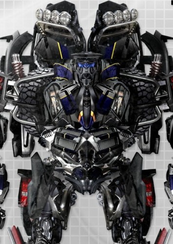 Kup