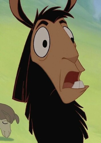 Kuzco (LIama)