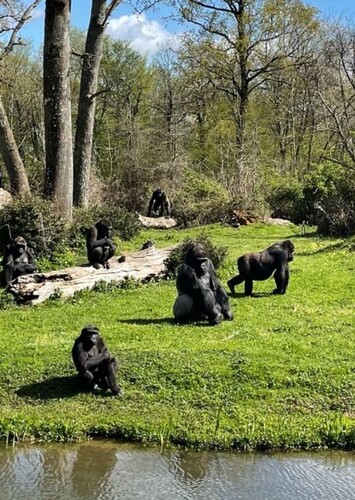 La Vallée des Singes
