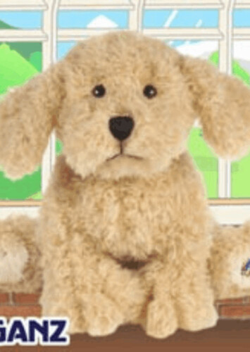 Labradoodle