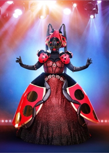 Ladybug