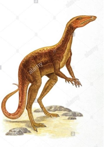Lagosuchus