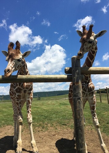 Lake Tobias Wildlife Park