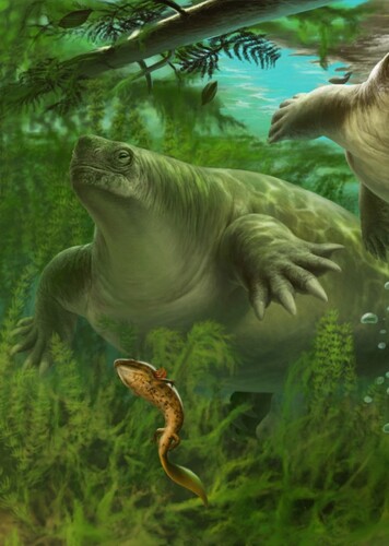 Lalieudorhynchus