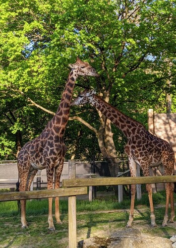 Lehigh Valley Zoo