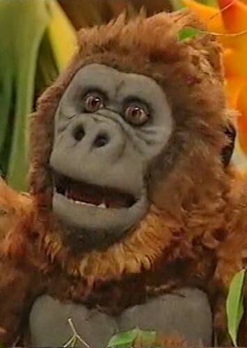 Lenny the Gorilla