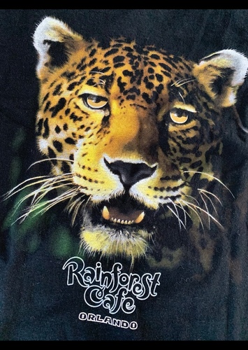 Leopard