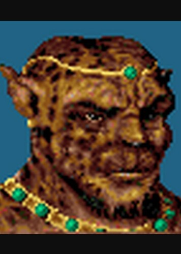 Leopardman Chief