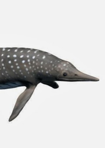 Leptonectus