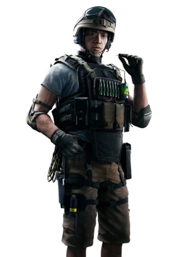 Lesion