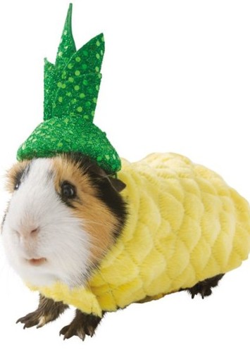 Lester Cornhut
