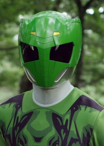 Liam Gaja The Green Wild Prime Ranger