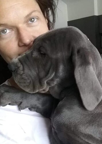 Life is Just Better with a Blue Great Dane
