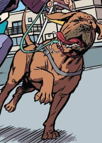 Lightning the Superdog
