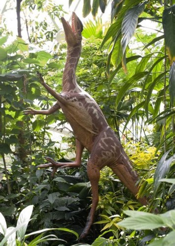 Liliensternus