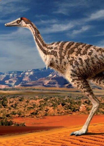 Linhenykus