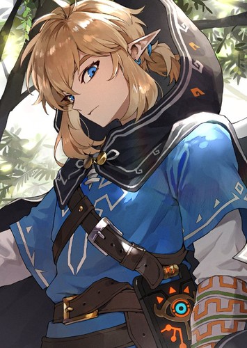 LINK