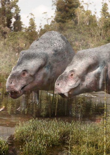 Lisowicia