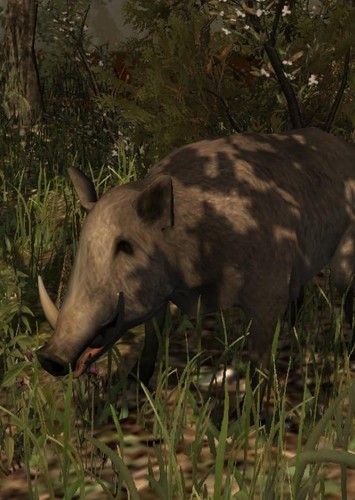 Listriodon