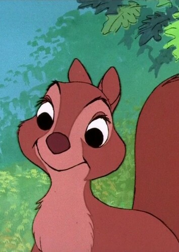 Little Girl Squirrel