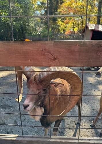 Living Treasures Wild Animal Park (Moraine)