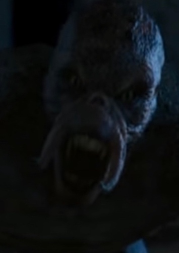 The Lizard