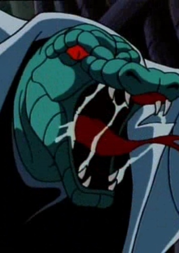 Lizard
