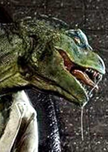 Lizard