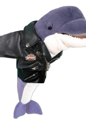 Loan Dolphin