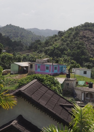 Location 5 nine mule Jamaica