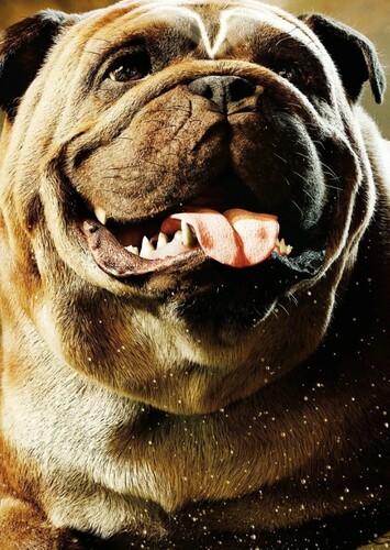 Lockjaw