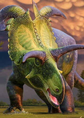 Lokiceratops