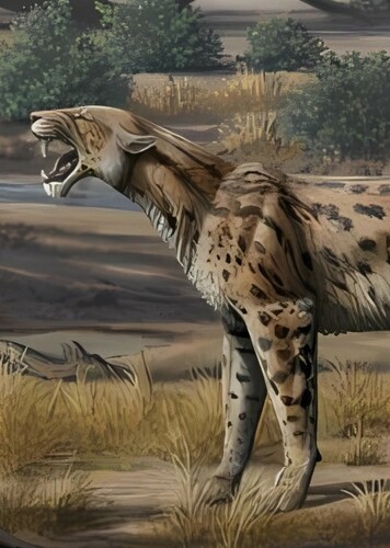Lokotunjailurus