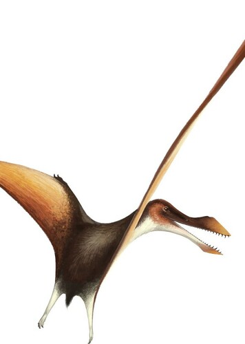 Lonchodraco