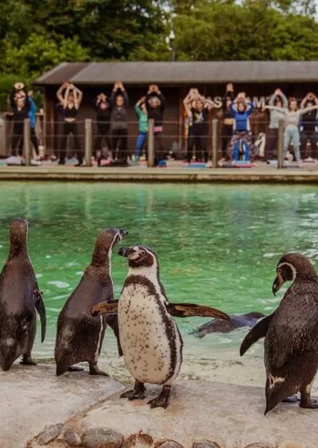 London Zoo