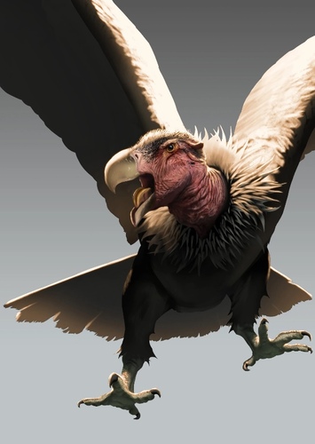 Lone Gunslinger Vulture