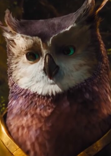 Longclaw the Owl