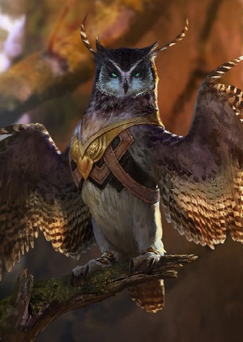 Longclaw the Owl