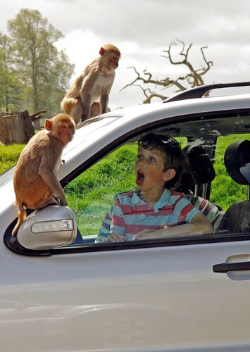 Longleat Safari and Adventure Park