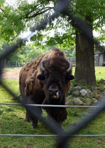 Lords Park Zoo