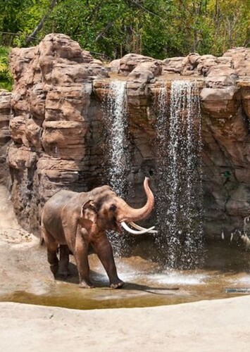Los Angeles Zoo